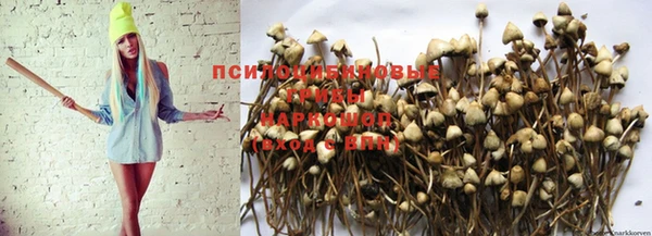 дмт Балахна